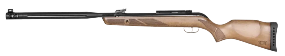 Gamo Hunter